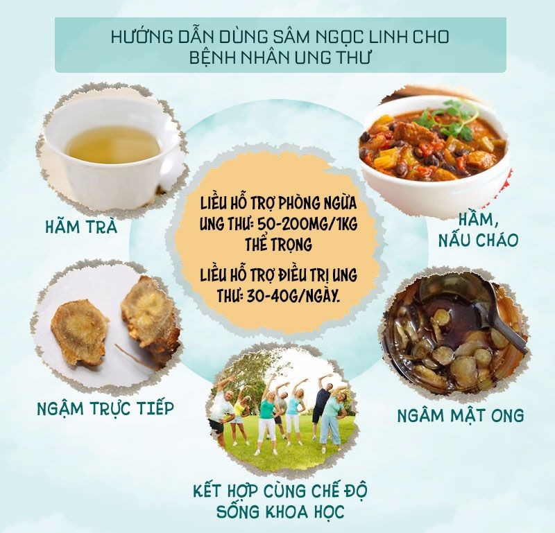 Hướng dẫn dùng sâm Ngọc Linh cho bệnh nhân ung thư