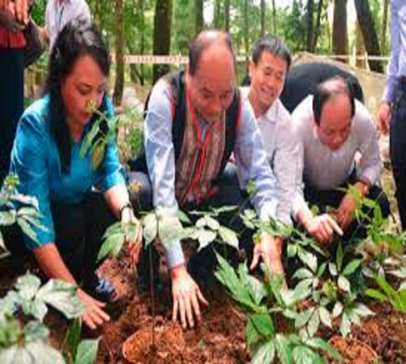 Nguyên Chủ tịch nước thăm vườn sâm Ngọc Linh